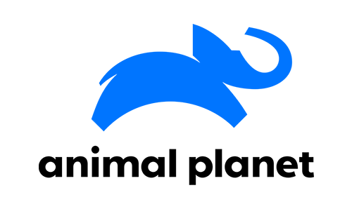 Animal Planet ao vivo Pirate TV
